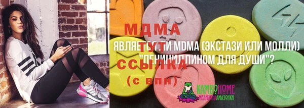 индика Богданович