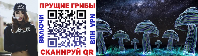 Галлюциногенные грибы Magic Shrooms  закладки  Елец 
