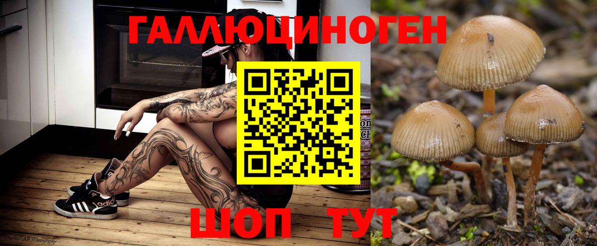 Галлюциногенные грибы Magic Shrooms  купить наркоту  Елец  Вход с VPN 